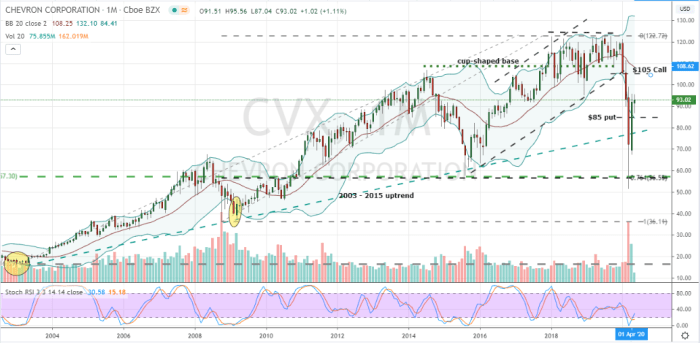 Chevron priced perfection investing