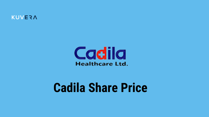 Cadila stock price