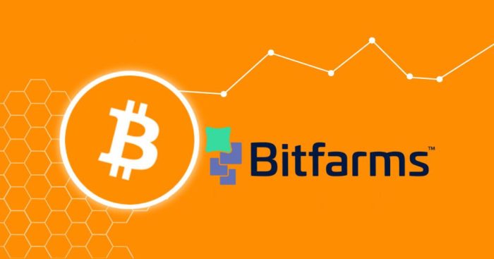 Bitfarm stock price