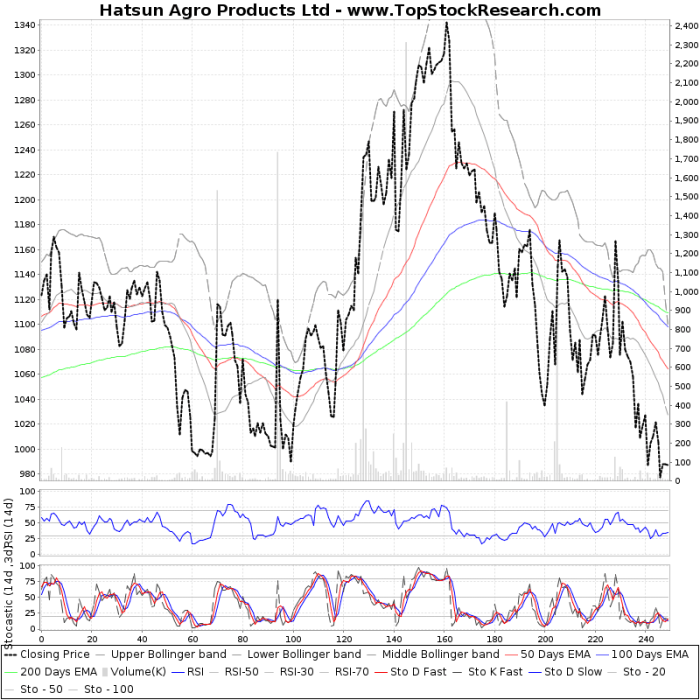 Hatsun agro stock price