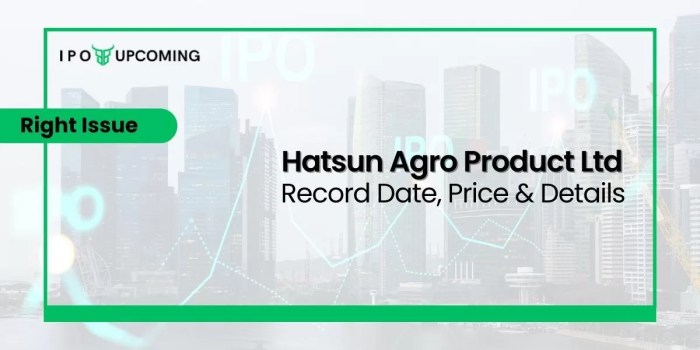 Hatsun agro stock price