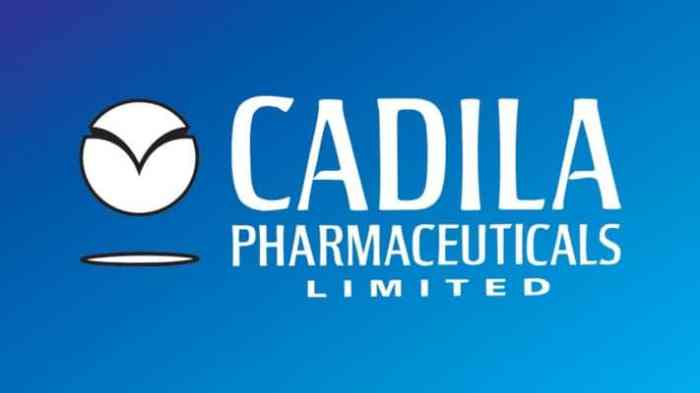 Cadila stock price