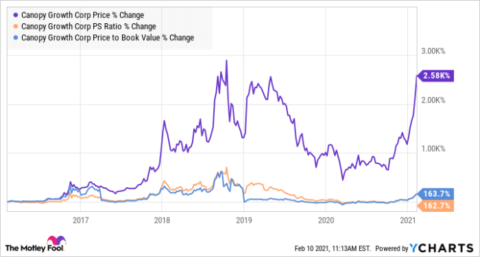 Cgon stock price